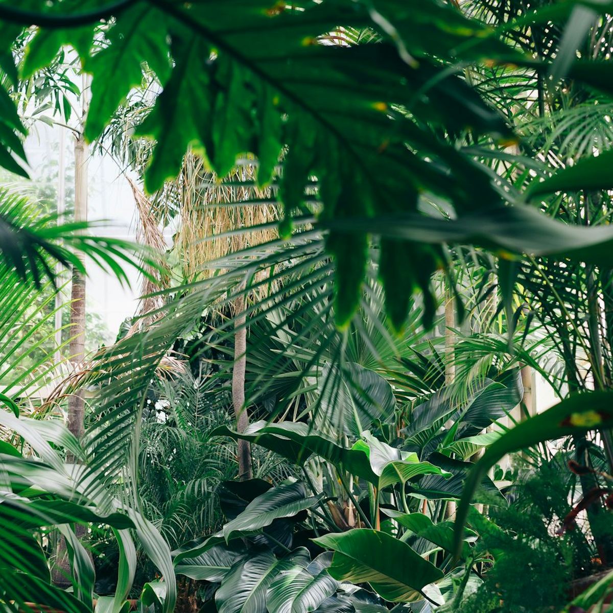 Meta Garden